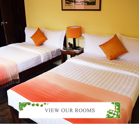 View our Rooms